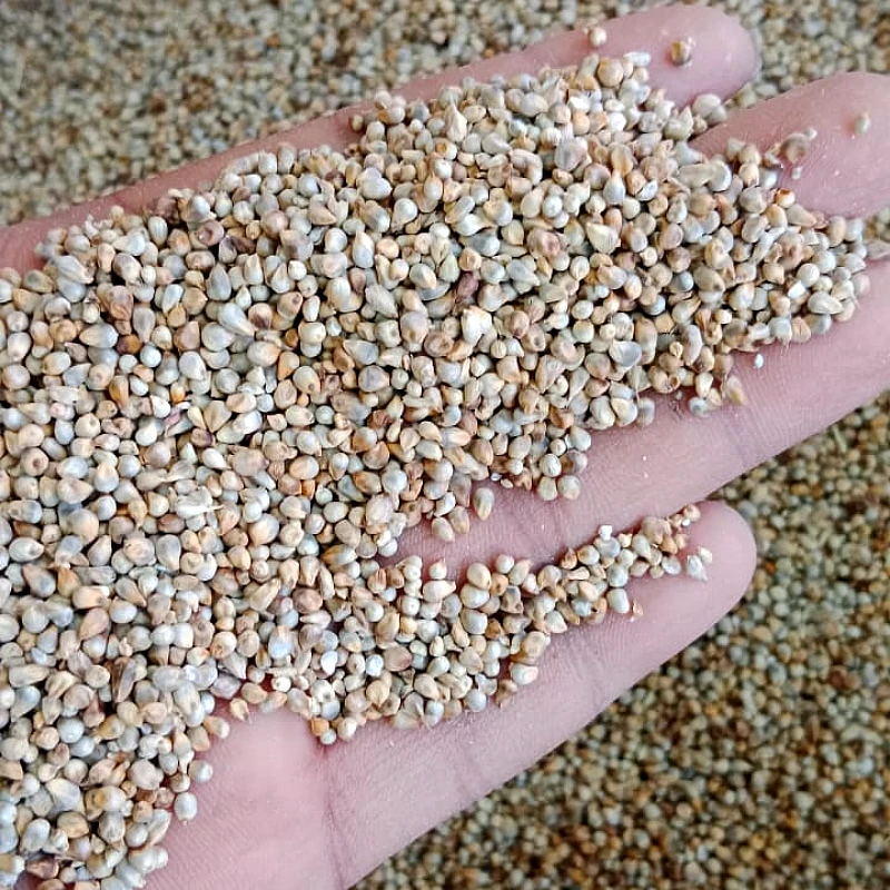Bajra - Product Image