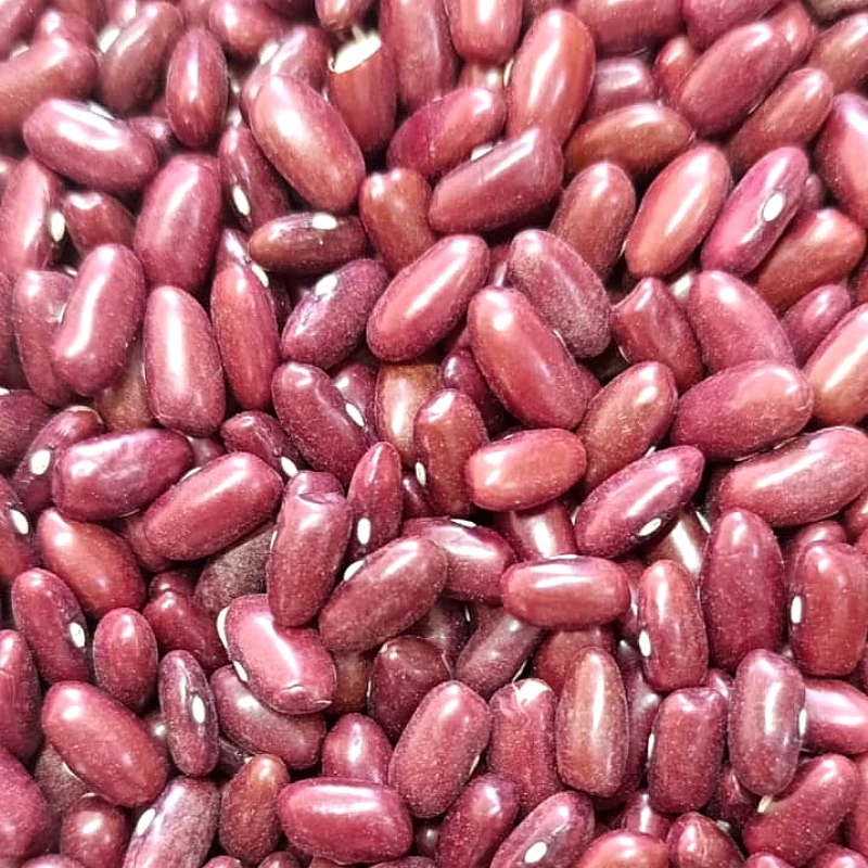 Laal Lobiya - Product Image